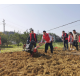 凤凰县财政局党员志愿者助力春耕生产