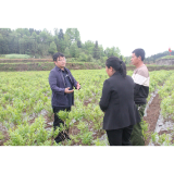 凤凰检察：梁宜勇检察长深入企业调研，服务问需促发展，助力乡村振兴