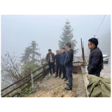 凤凰县茶田镇：凝聚合力，打好“三农”工作组合拳