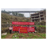 喜迎二十大·全域文明创建在行动丨凤凰：以基层触角助力文明创建