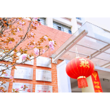 凤凰县箭道坪小学土桥路校区：春意盎然满校园