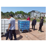 凤凰县商务局：开展成品油“打非治违”摸排行动