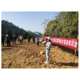 凤凰县筸子坪镇：推进思想大解放 不误农时助春耕
