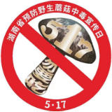 “517”勿要吃野生毒蘑菇