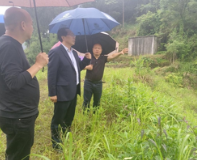 毛家深入林峰乡、新场镇调研督导尾矿库综合治理工作