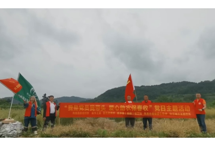 喜迎二十大·全域文明创建在行动丨凤凰县乡镇（街道）社工站：我是党员我带头  爱心助农保春收