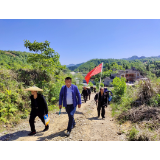 凤凰县禾库安置区产业基地“管护忙” 群众增收“干劲足”