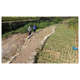 凤凰县筸子坪镇打击非法违法侵占河道影响防洪度汛行为