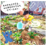 凤凰县箭道坪幼儿园：恰好童年时光 小孩子的大梦想