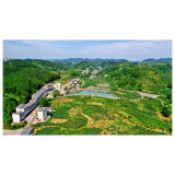 牢记嘱托再出发 乡村振兴谋新篇 ——凤凰县菖蒲塘村召开“七一”表彰大会