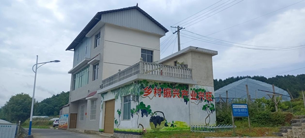 图片19.jpg