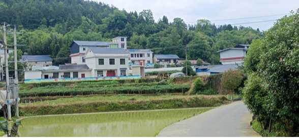 全域文明创建在行动丨凤凰县新场镇：大坡村扎实推进“楼顶革命” 打造最美宜居村庄