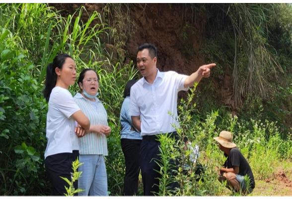 凤凰县沱江镇以思想大解放助力乡村振兴  全力以赴做好洪涝后的农作物补救工作