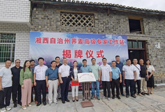 凤凰县：举行湘西州荞麦高级专家工作站揭牌仪式暨荞麦产业交流座谈会