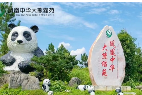 喜迎湘西州首届旅游发展大会丨凤凰中华大熊猫园欢迎您
