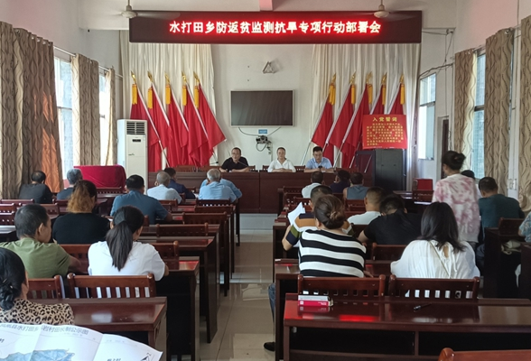 我为群众办实事丨凤凰县水打田乡：召开防返贫监测抗旱专项行动部署会