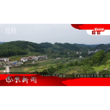 2022年08月11日湖南凤凰新闻