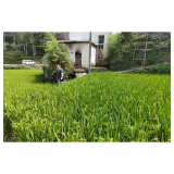 凤凰县林峰乡全力抗旱保供水安全