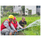 国网凤凰县供电公司：抗旱保电我在现场——为300亩水稻“解渴”