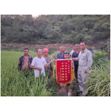 凤凰县两林乡：党员群众齐抗旱 为民服务践清廉