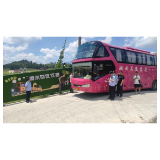 凤凰县文化市场综合行政执法局开展旅游客运市场联合整治行动