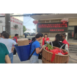 凤凰县文旅广电局：开展打击整治养老诈骗宣传活动