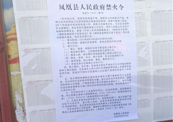 图片7.jpg