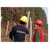 国网凤凰县供电公司：深入开展通道治理，为春节保电工作打下基础