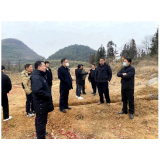 凤凰县千工坪镇：“三调联动”成功化解一起山林土地纠纷