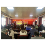 凤凰县新场镇举行学习党的二十大精神宣讲报告会