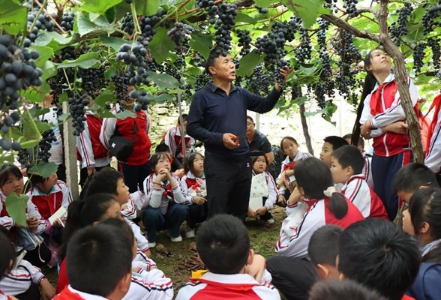 我们的节日·中秋丨凤凰县箭道坪小学凤凰路校区：“童”心向萄园一起“趣”研学