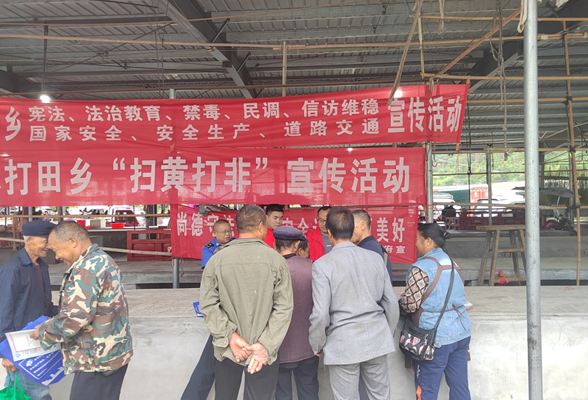 优化营商环境在行动丨凤凰县水打田乡：开展信访知识宣传 提升信访服务水平