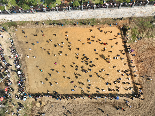 DJI_0780.jpg
