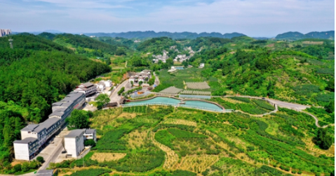 十年山乡巨变—凤凰县菖蒲塘村的幸福答卷（二）：党建引领乡村兴