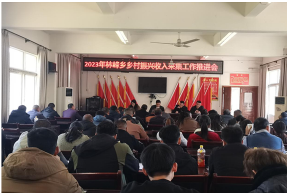 凤凰县林峰乡召开2023年乡村振兴收入采集工作推进会