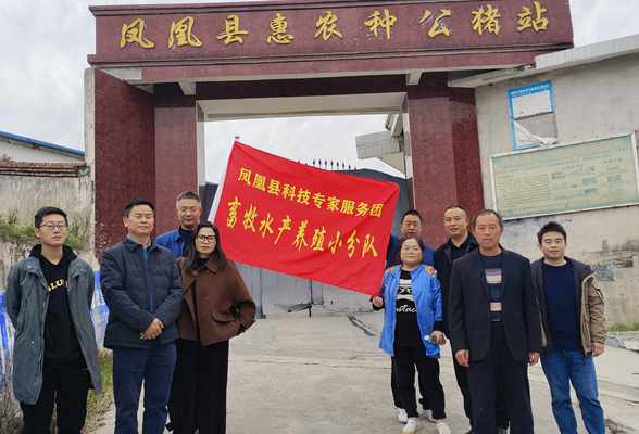 优化营商环境在行动丨凤凰县畜牧水产事务中心：便民惠农 技术下乡