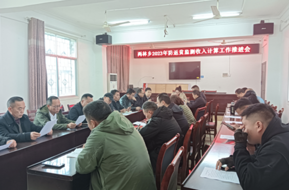 凤凰县两林乡：认真复核收入“账”，筑牢防返贫底线“墙”