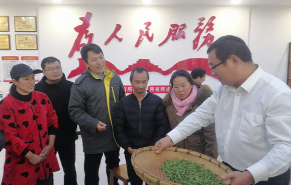 优化营商环境在行动丨  凤凰县廖家桥镇椿木坪村：多措并举 助力优化营商环境