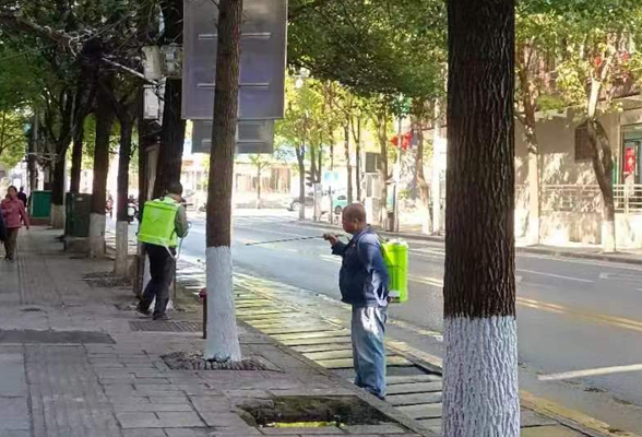 优化营商环境在行动丨凤凰县住建局：城市树木刷白防护抗寒  助力安全出行优化发展环境