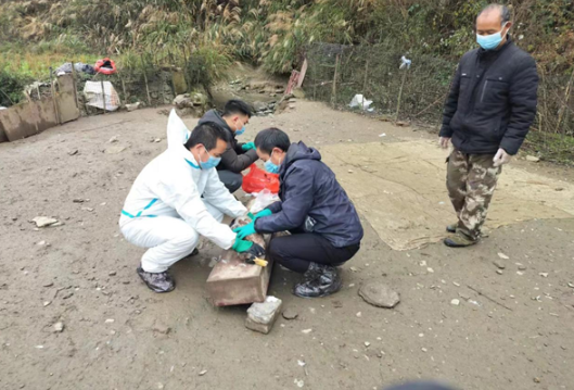 凤凰县新场镇：检疫“冬针”护航助力乡村振兴