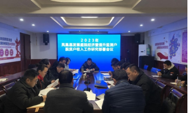 凤凰：锚定增收目标 规划庭院经济发展