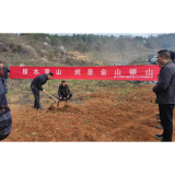 凤凰县筸子坪镇开展“义务植树”活动