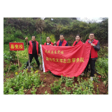 植一棵树  为大地增添一抹绿——凤凰县委党校开展义务植树活动