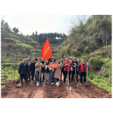 凤凰县沱江镇：春风吹新绿 植树正当时