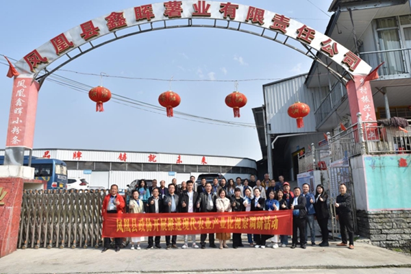 图片18.jpg