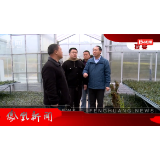 2023年03月20日湖南凤凰新闻