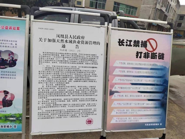 图片8.jpg