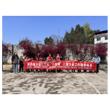 凤凰县廖家桥镇社工站：心手相牵同心童行