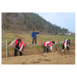 凤凰县千工坪镇团委：开展春耕春种青助力活动，助力乡村振兴