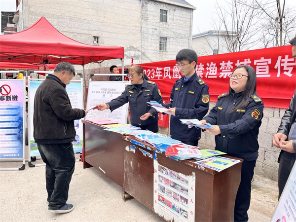 图片15.png